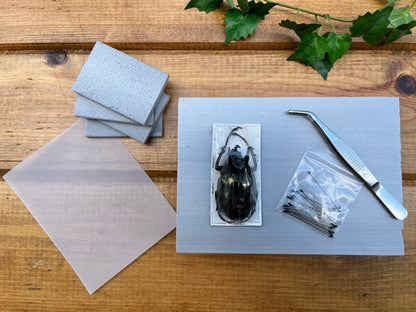 Beetle Spreading Kit Tutorial