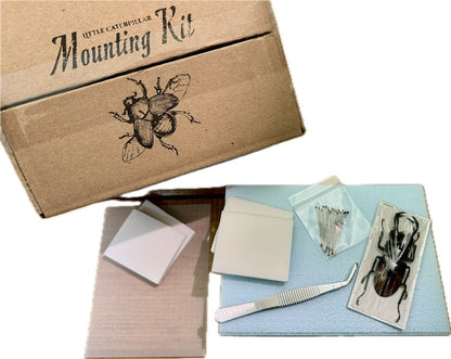 Beetle Spreading Kit Tutorial